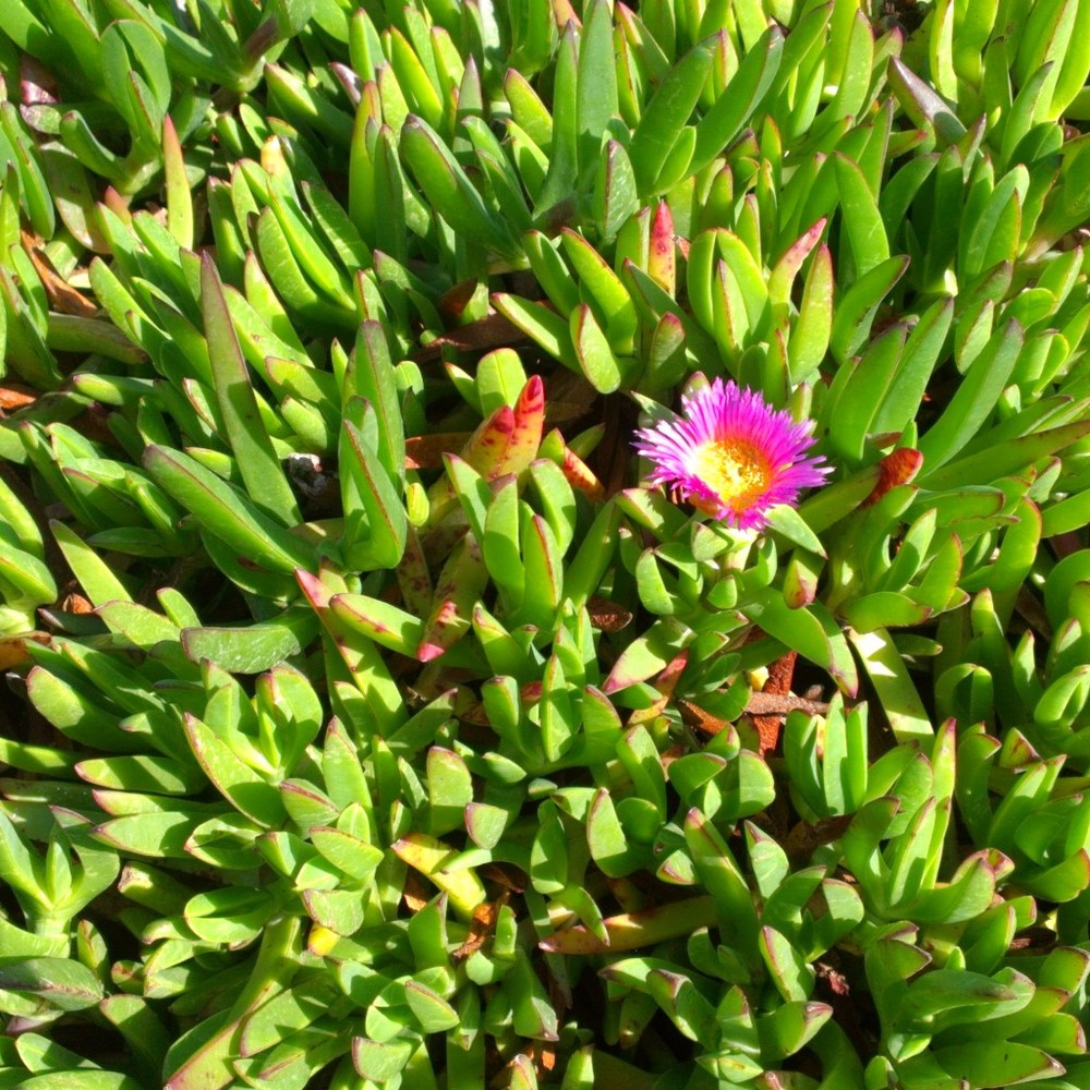 Meet your Posher, Melanie